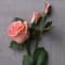 Blush Faux Real Rose Stem by Ashland®